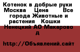 Котенок в добрые руки. Москва. › Цена ­ 5 - Все города Животные и растения » Кошки   . Ненецкий АО,Макарово д.